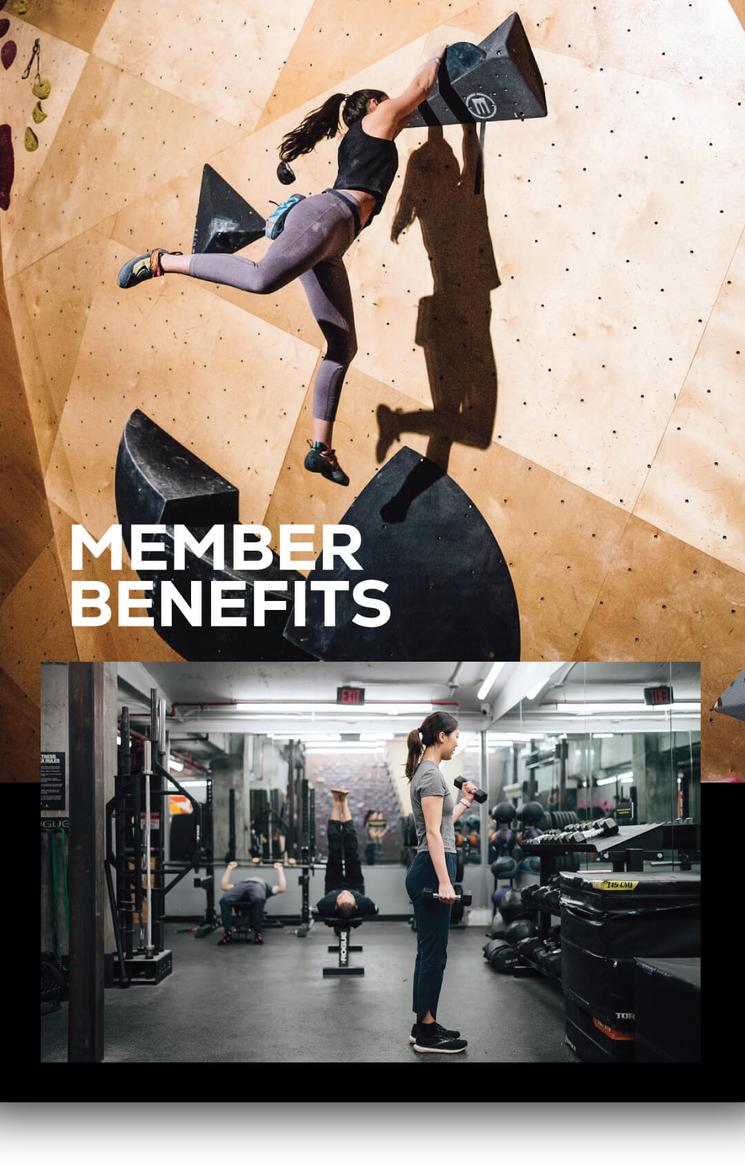 MEMBER BENEFITS